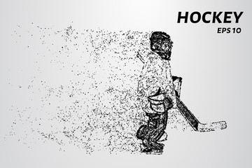 Fototapeta na wymiar Hockey from the particles. The goalkeeper consists of circles and points. Vector illustration