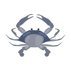 seafood flat icon set