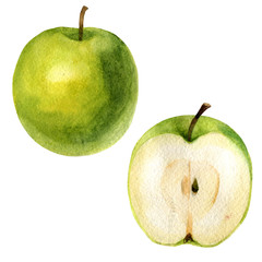 Watercolor illustration. An image of an apple and a half of an apple.