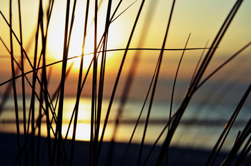 Fototapeta premium Sonnenaufgang