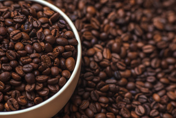 Porcelain cup filled with coffee beans close up on coffee beans background. Beverages menu design. Place for text.