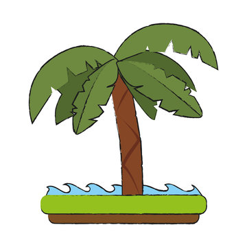 Palm tree isolated icon vector illustration graphic design