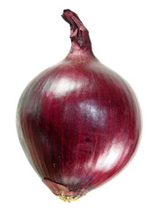 Unpeeled red onion bulb isolated on white background