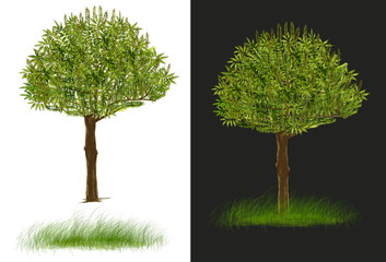 2 Tree design isolate white and dark gray has clipping paths