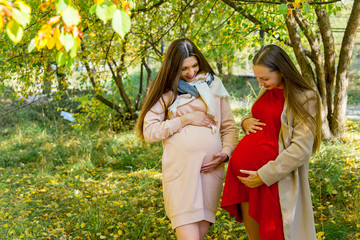 Pregnant woman walking in a park