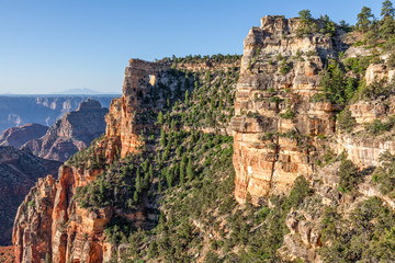 North Rim Scenic Landscape Grand Canyon