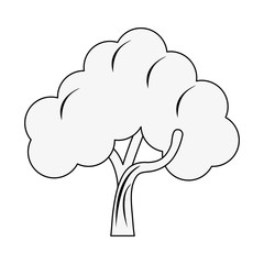 Tree nature symbol icon vector illustration graphic design
