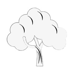 Tree nature symbol icon vector illustration graphic design