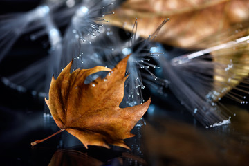 Lovely still life XXII / The abstract concept of a simple subject