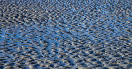 Schlickwatt bei Niedrigwasser