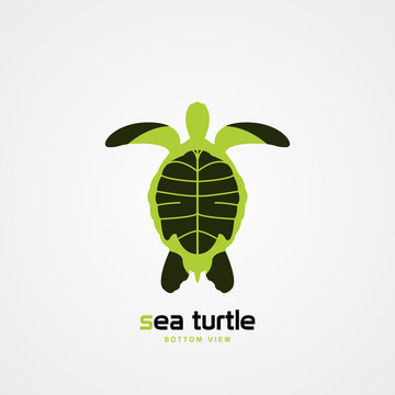 Green sea turtle. Bottom view. Modern symbol. Vector
