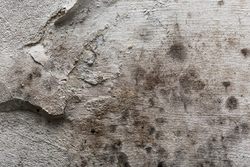 Old grungy concrete wall texture for background and design
