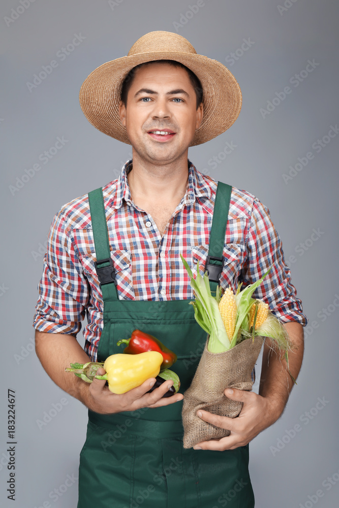 Wall mural agronomist with vegetables on grey background