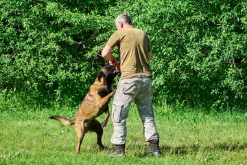 The dog is biting the ball. The man is pulling the toy up to make a resistance.