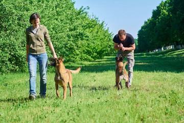 Obraz premium People are doing exercises with their dogs. The woman with her dog are going to do some another exercise.