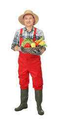 Agronomist with healthy vegetables on white background