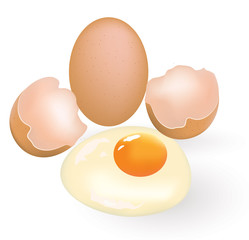 One whole and one cracked egg, vector