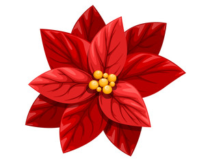 Beautiful red Poinsettia flower Christmas decoration christmas ornament vector illustration isolated on white background
