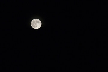 full moon in the night