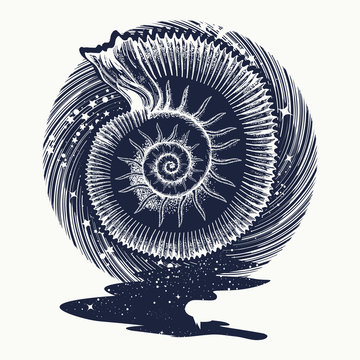 Ammonites and art nouveau flowers tattoo. Symbol of science, paleontology, history, biology, golden ratio. Ancient mollusk t-shirt design. nfinite space, meditation symbols, travel, tourism