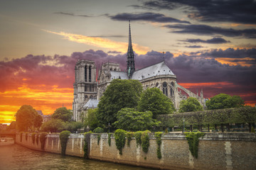 Fototapeta premium Notre Dame de Paris