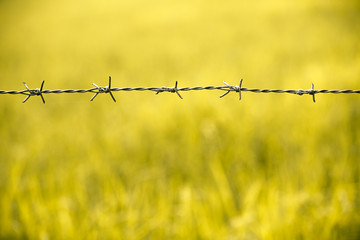 Barbed wire fence in nature field