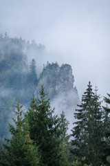 mountain tops in  autumn covered in mist or clouds