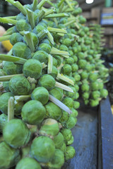 Vegetables on the Borough Market in London