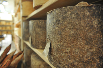 Hard cheeses on shelves in a cheese shop on the Borough Market in London