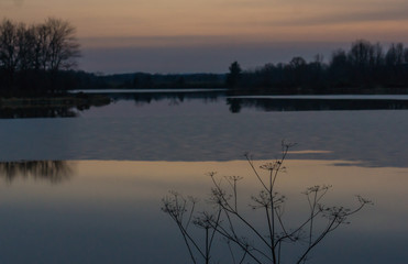 evening landscape of marshy icy wetlands
