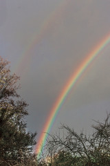 Regenbogen