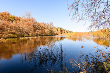 lake with water reflections in colorful autumn day with colored trees