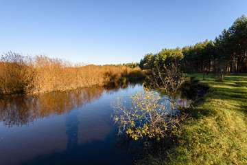Fototapeta premium lake with water reflections in colorful autumn day with colored trees