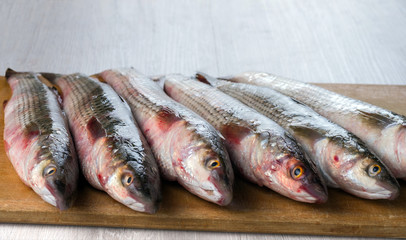 Fresh mullet fish on a cutting board.