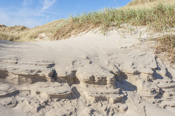 Sandy beach - Holmsland Klit, Denamrk.