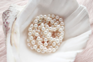Fototapeta na wymiar elegant pearl necklace on pink fur in a shell