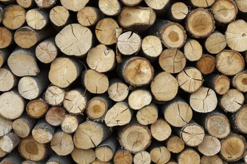 Möbelaufkleber Sawed tree trunks and branches in different sizes, piled up in blue container Wood storage Timber industry © Artur