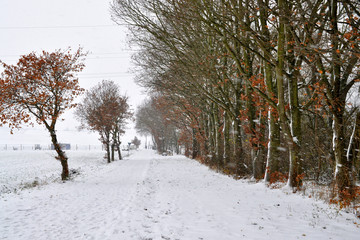 Es schneit - Winterlandschaft