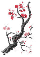 Naklejka premium Realistic sakura blossom - Japanese cherry tree isolated on white background.