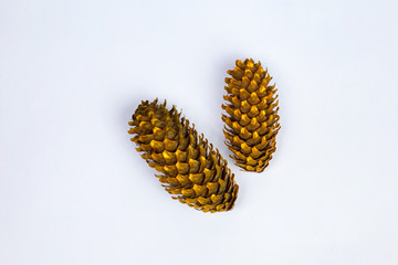 various types of cones.