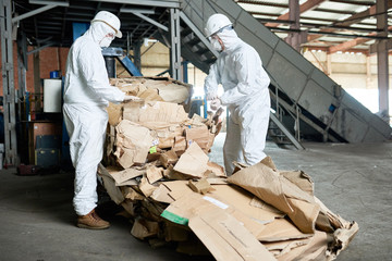 Portrait of two factory workers wearing biohazard suits sorting reusable cardboard on recycling...