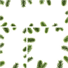 Winter backgrounds with fir branches.