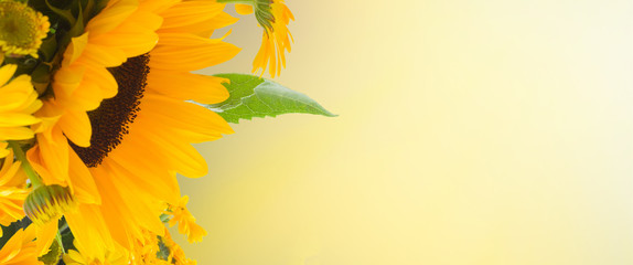 flowers garden with sunflowers and calendula flowers close up banner