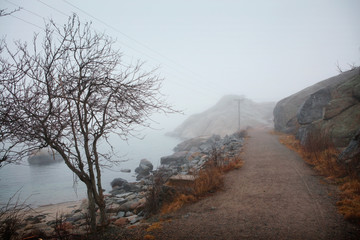 Obraz na płótnie Canvas misty morning path in Norway