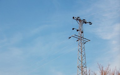 electricity pole for power distribution