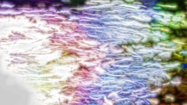 bright colors flow in motion
