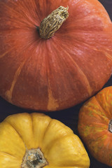 Close-up of multi-colored pumpkins, top view.  Thanksgiving vertical background