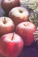 Winter Christmas red apples in powdered sugar as snow. Merry Christmas Winter Greeting Card. Verical format