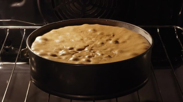 cake rising in the oven