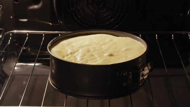 Cake Rising In The Oven